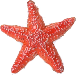 Kolekcjonerska figurka Rozgwiazda, Papo