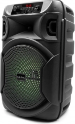 Głośnik Bluetooth Squeak PulseTower z karaoke, 1000 W