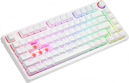 Biała mechaniczna klawiatura RGB PHENIX WHITE Gateron Red