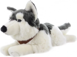 Pluszowy husky leżący z paskami 60 cm