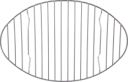 Ruszt ze stali nierdzewnej do brytfanny 32,5 × 21 cm ORION