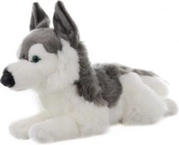 Pluszowy husky 43 cm