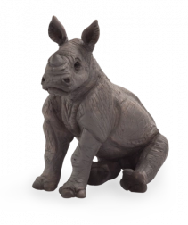 Mojo nosorożec młode siedzący