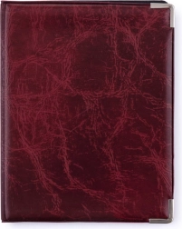 Ozdobny pokrowiec na dokumenty z połyskiem