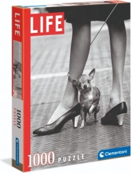 Puzzle Chihuahua od Clementoni 1000 elementów