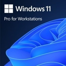 Windows 11 Pro dla Stacji Roboczych OEM (PL, 64-bit)