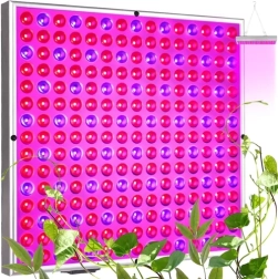 Podwieszany panel LED do wzrostu roślin 225 LED, 36 W
