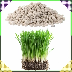 Wieloskładnikowy nawóz do trawnika NPK 20-8-10 granulat 10 kg