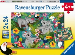 Puzzle RAVENSBURGER Koale i leniwce 2×24 elementów