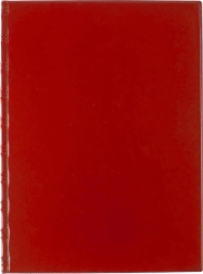 Teczka A4 z wielokrotnymi kieszeniami Classic czerwona