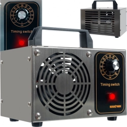 przenośny generator ozonu BIGSTREN 20 000 mg/h z timerem