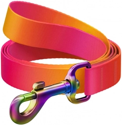 Smycz dla psów WAUDOG, szerokość 20 mm, długość 122 cm, pomarańczowa