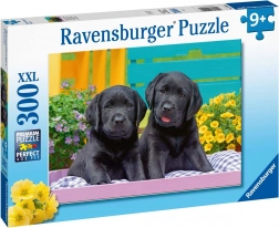 Ravensburger puzzle Puppy Life 300 elementów