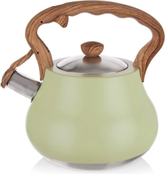 Gwiżdżący czajnik ze stali nierdzewnej GREENISH 3 l