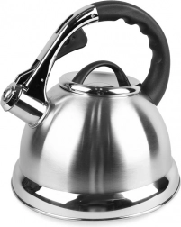 Stalowa czajnik 2,8 l Maestro