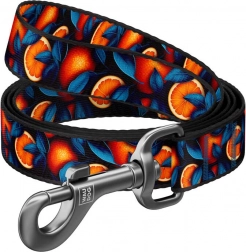 Nylonowa smycz dla psów z motywem Pomarańcze 122 cm Waudog