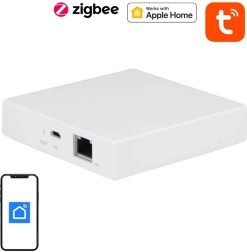Inteligentna brama Matter i Zigbee TUYA NEO