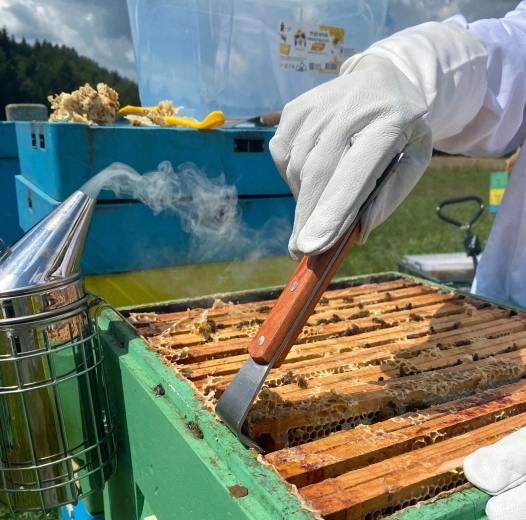 Trwałe ostrze ze stali nierdzewnej