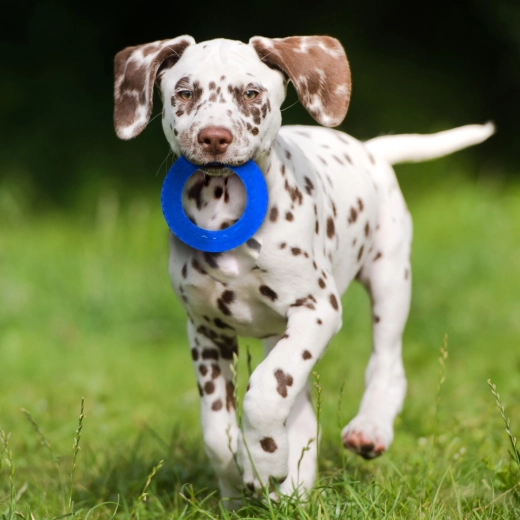 Kontrastowe kolory dla łatwego śledzenia