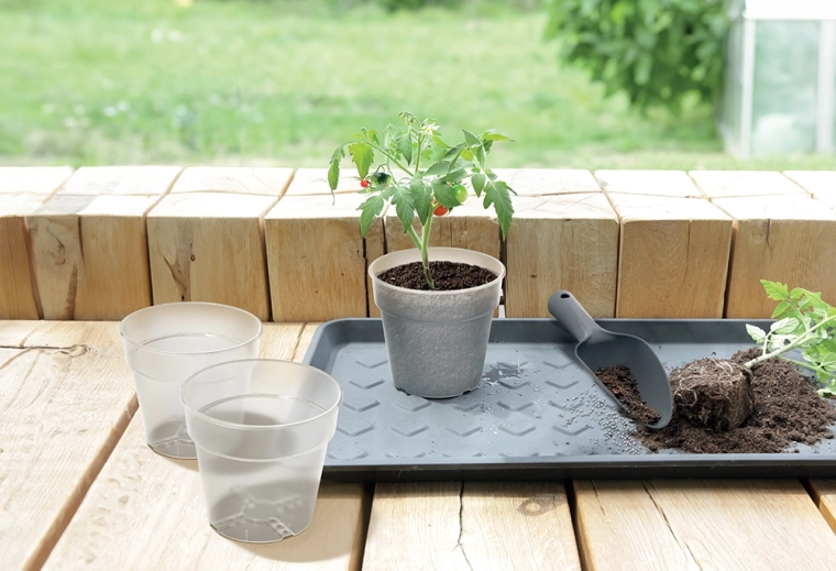 Wsparcie zdrowego wzrostu