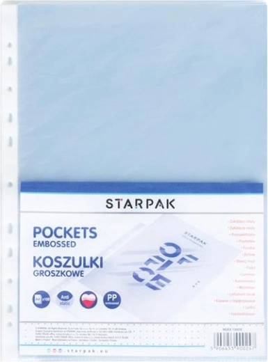 Koszulki euro na dokumenty A4, plastik matowy, 100 szt.