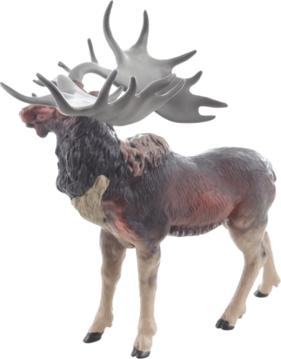 Stabilna postawa i bezpieczne wymiary