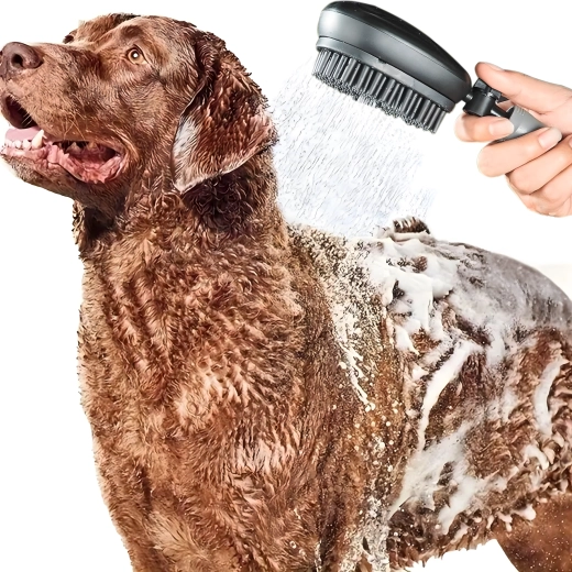 Prysznic i szczotka 2 w 1 do szybkiego i delikatnego mycia