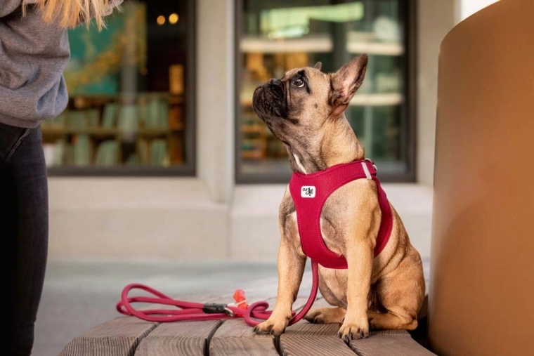 Szybkie zapięcie jedną ręką i solidna sprzączka