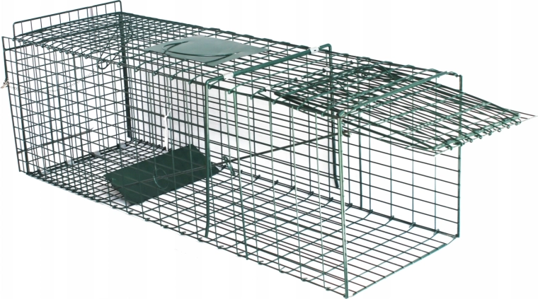 Żywołowna pułapka na kuny i koty 93,5 × 31 × 31 cm