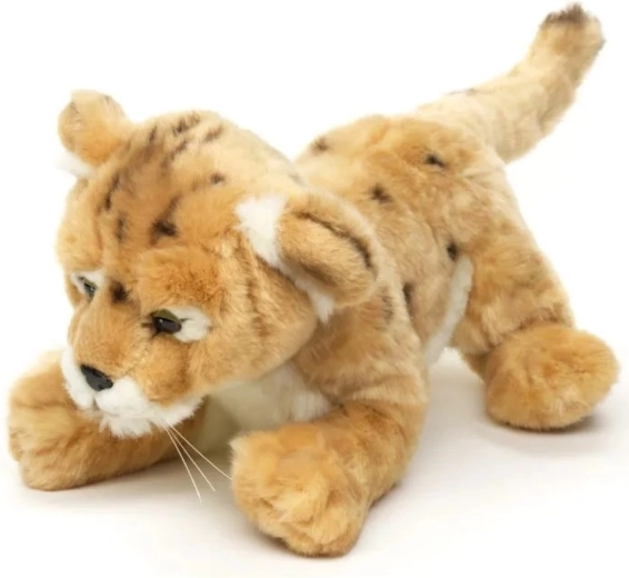 Wielkość około 35 cm
