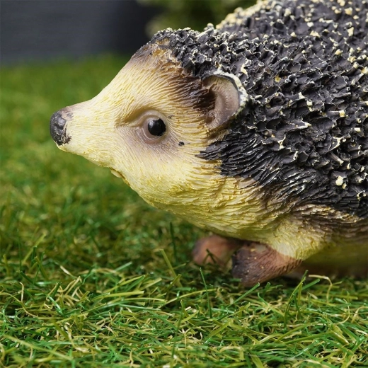 Odporna na pogodę przez cały rok