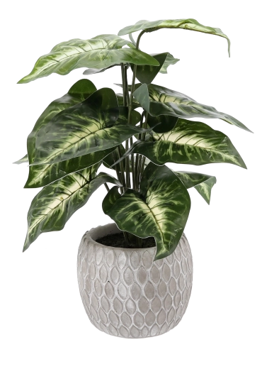 Bezobsługowa całoroczna dekoracja