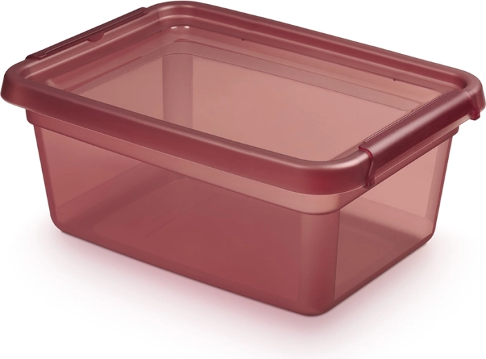 BASESTORE plastikowe pudełko do przechowywania z pokrywką i klipsami 12,5 l rhubarb