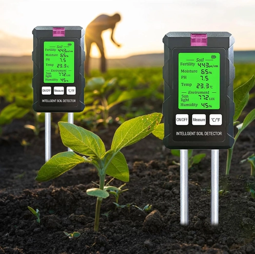 6w1: kompletny przegląd gleby i otoczenia