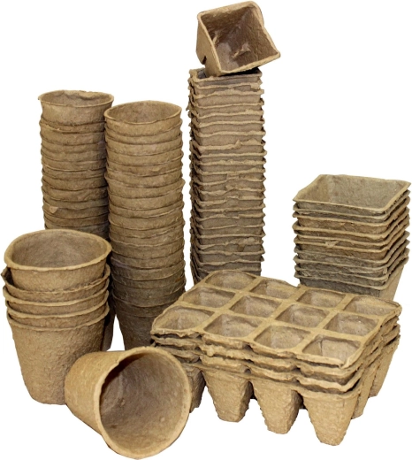 Optymalne środowisko dla rozsady