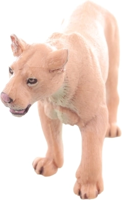 Wytrzymały plastik i stabilna postawa