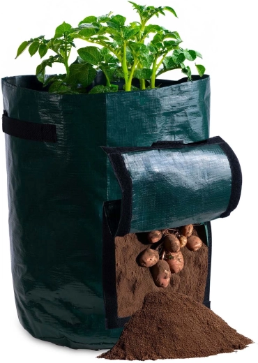 Okienko dla łatwego i czystego zbioru