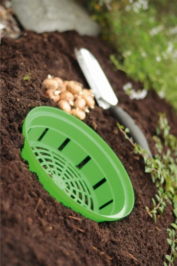 Łatwe wyjmowanie i przesadzanie