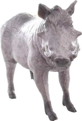 Idealna do edukacji i kolekcjonowania