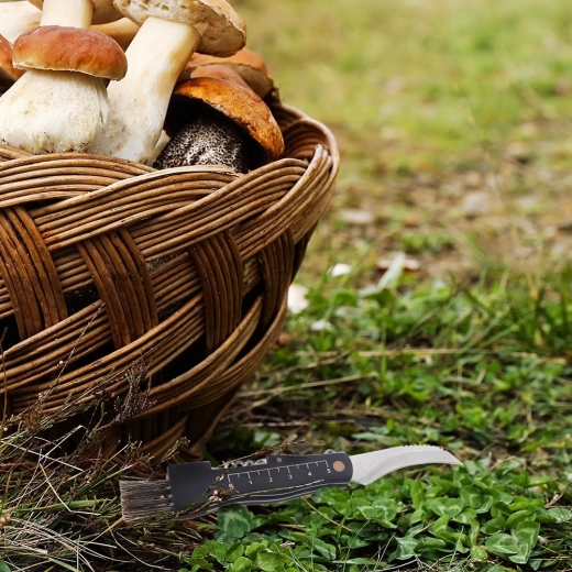 Zintegrowana szczoteczka i miarka 1–5 cm