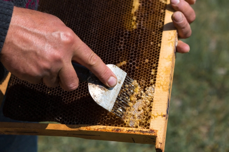 Precyzyjne nierdzewne zęby do czystego odsklepiania