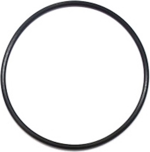 O-ring uszczelniający głowicy filtracji do ProStar Profi 8
