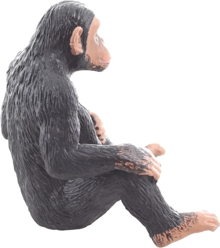 Świetna do nauki i kreatywności