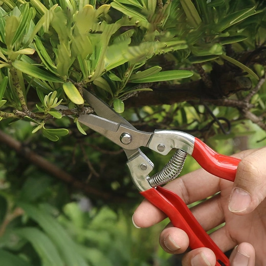 Mechanizm sprężynowy dla łatwego cięcia