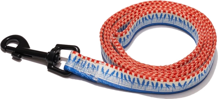 Explorer Dog smycz Ptaki S 120 × 1,5 cm