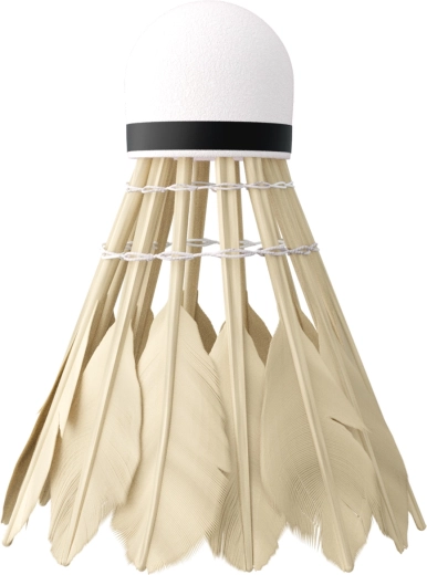 Stabilny i szybki lot dzięki kaczym piórom