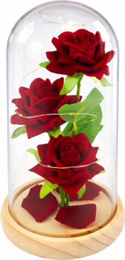 Elegancka szklana kopuła