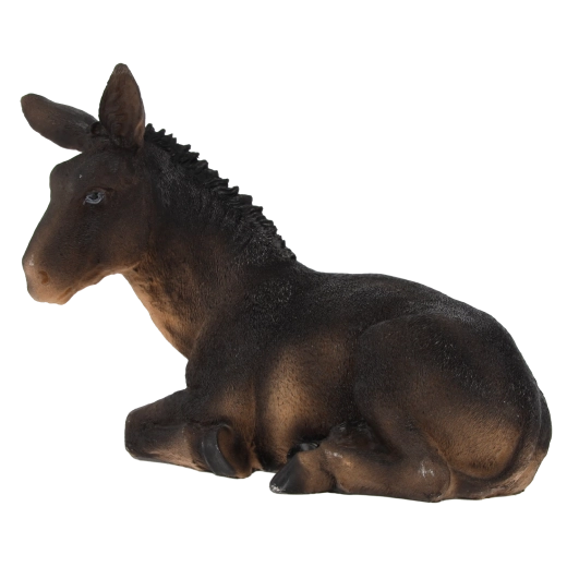 Realistyczne detale i naturalne kolory