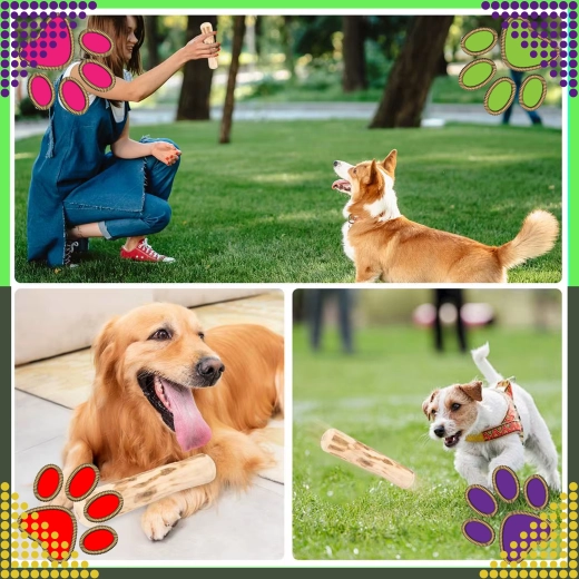 Zabawa do żucia i aportowania