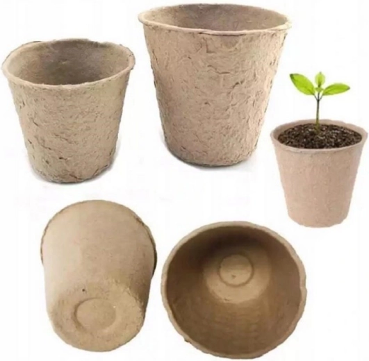 Zdrowy system korzeniowy